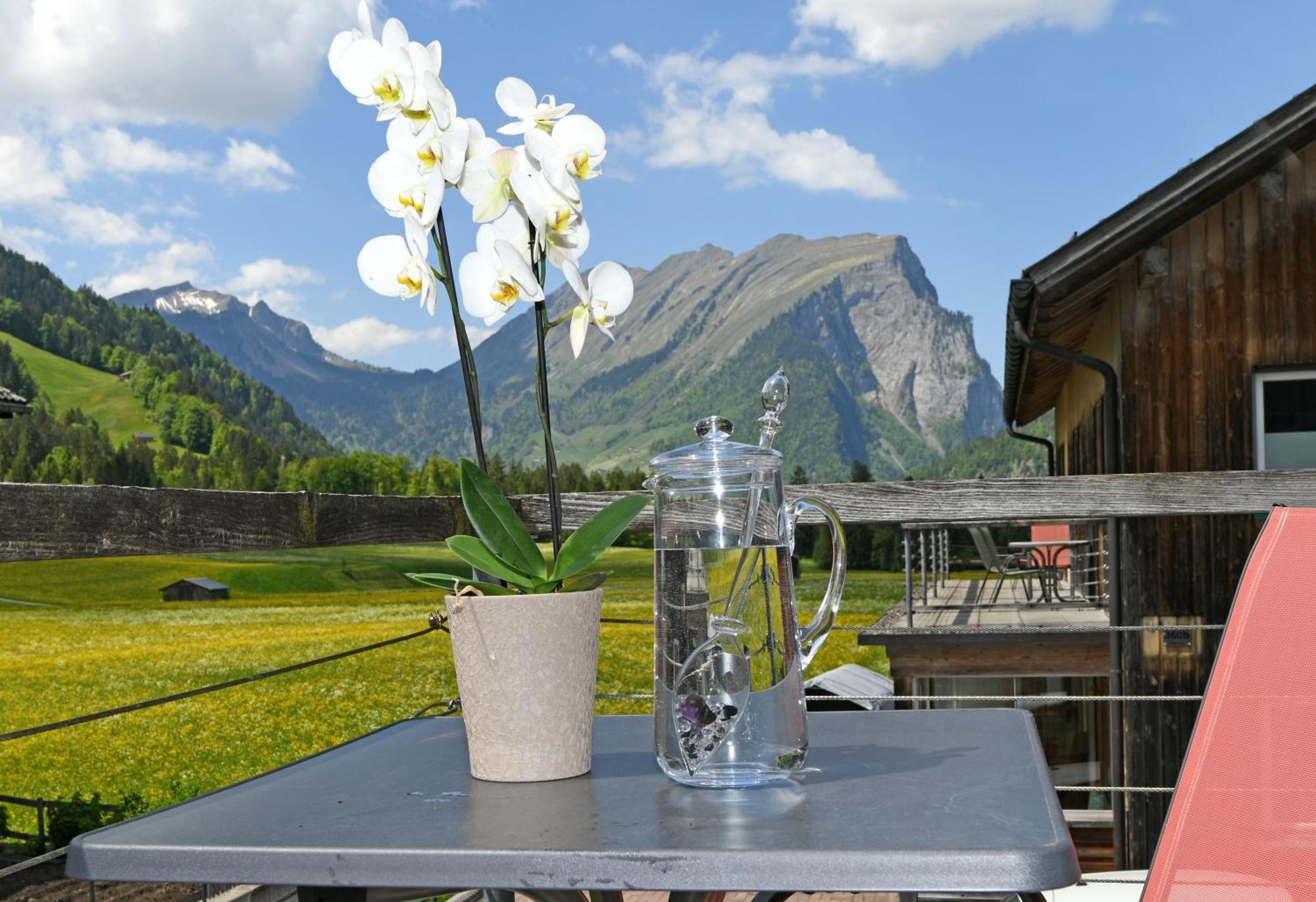 Ferienwohnungen Schantl Schoppernau Extérieur photo